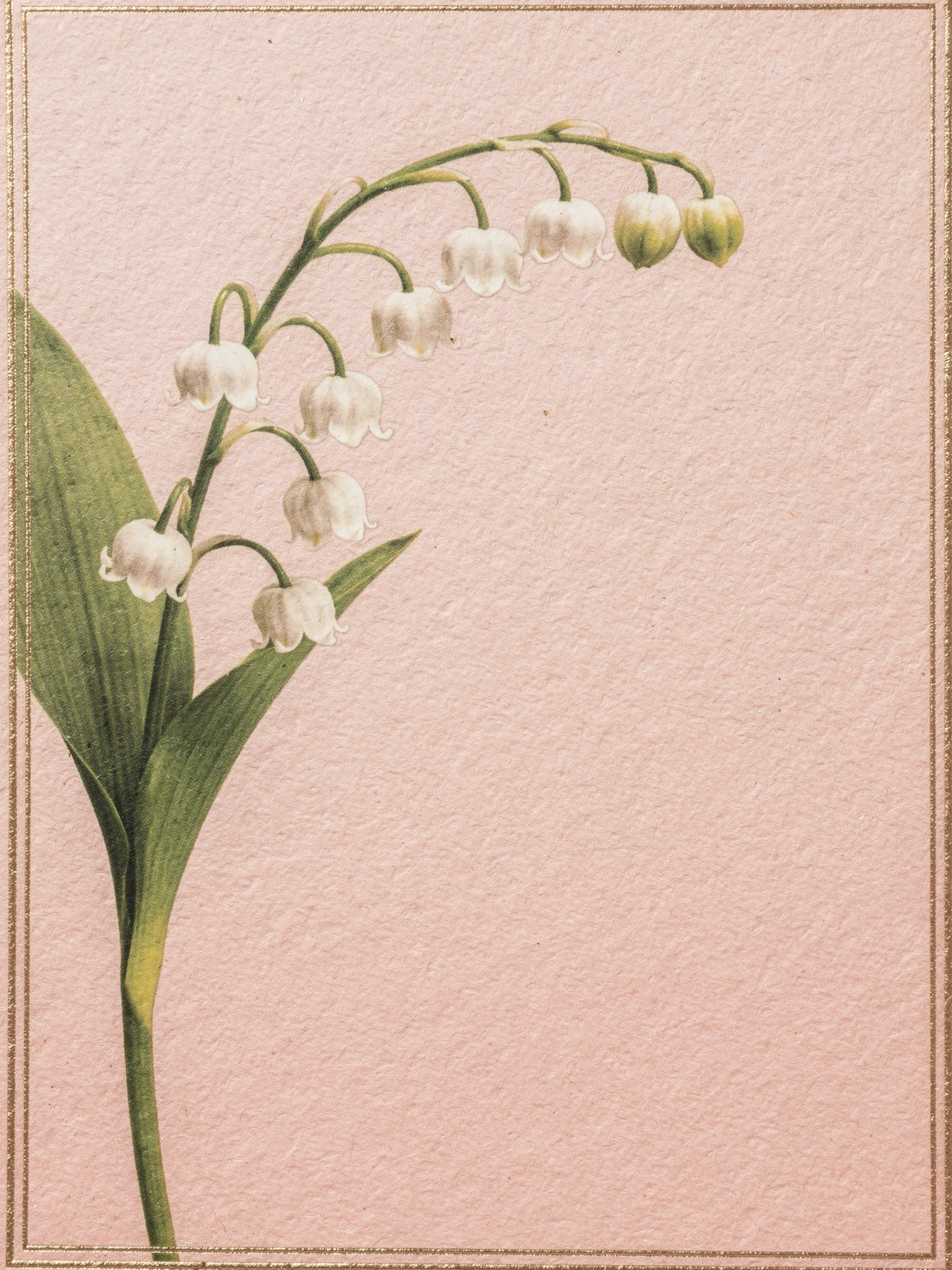 Just Because — 04 Elegant just because invitation template