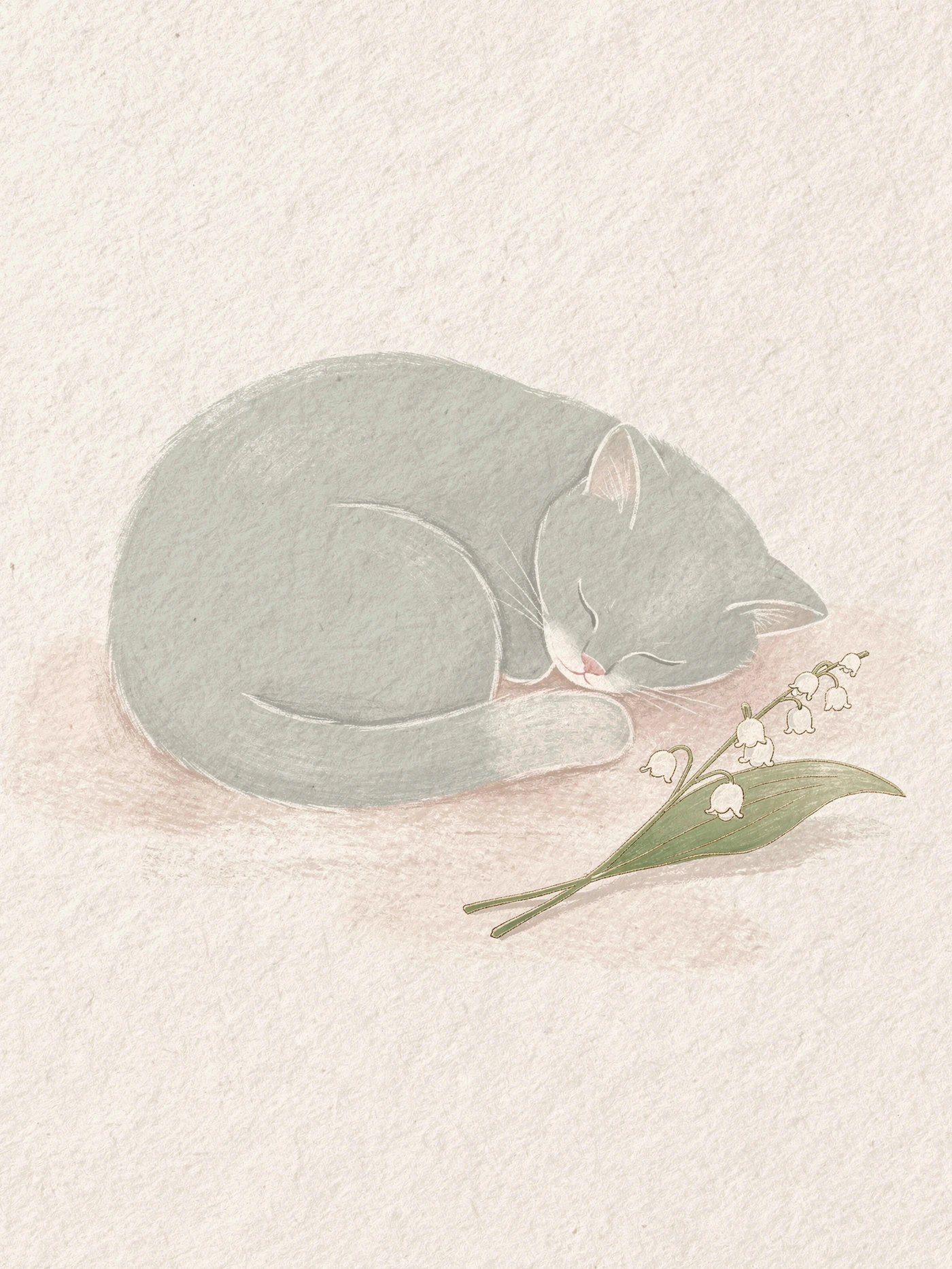Sympathy — 12 Cat pet sympathy invitation template