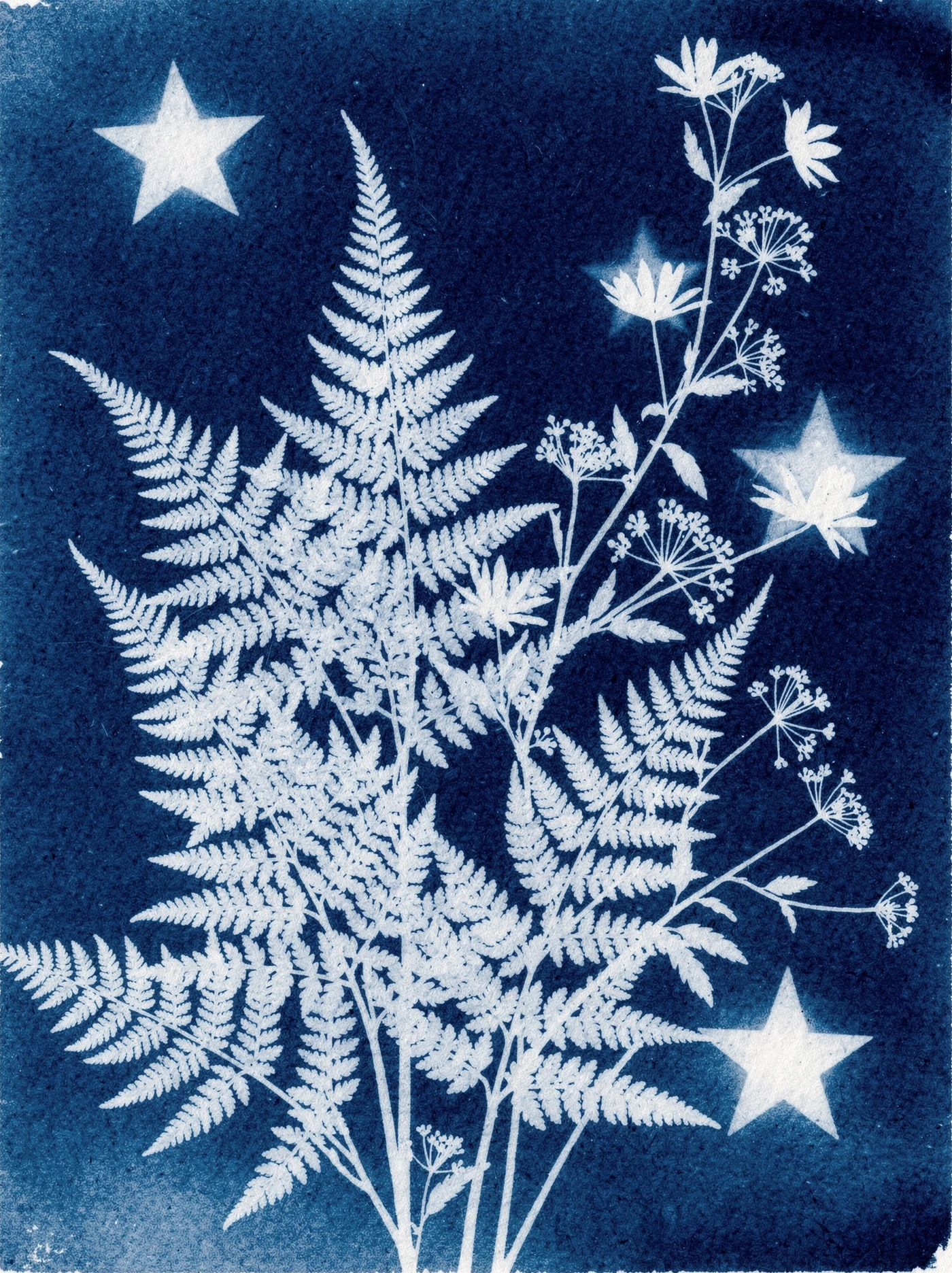 Thank You — Cyanotype 31 military invitation template