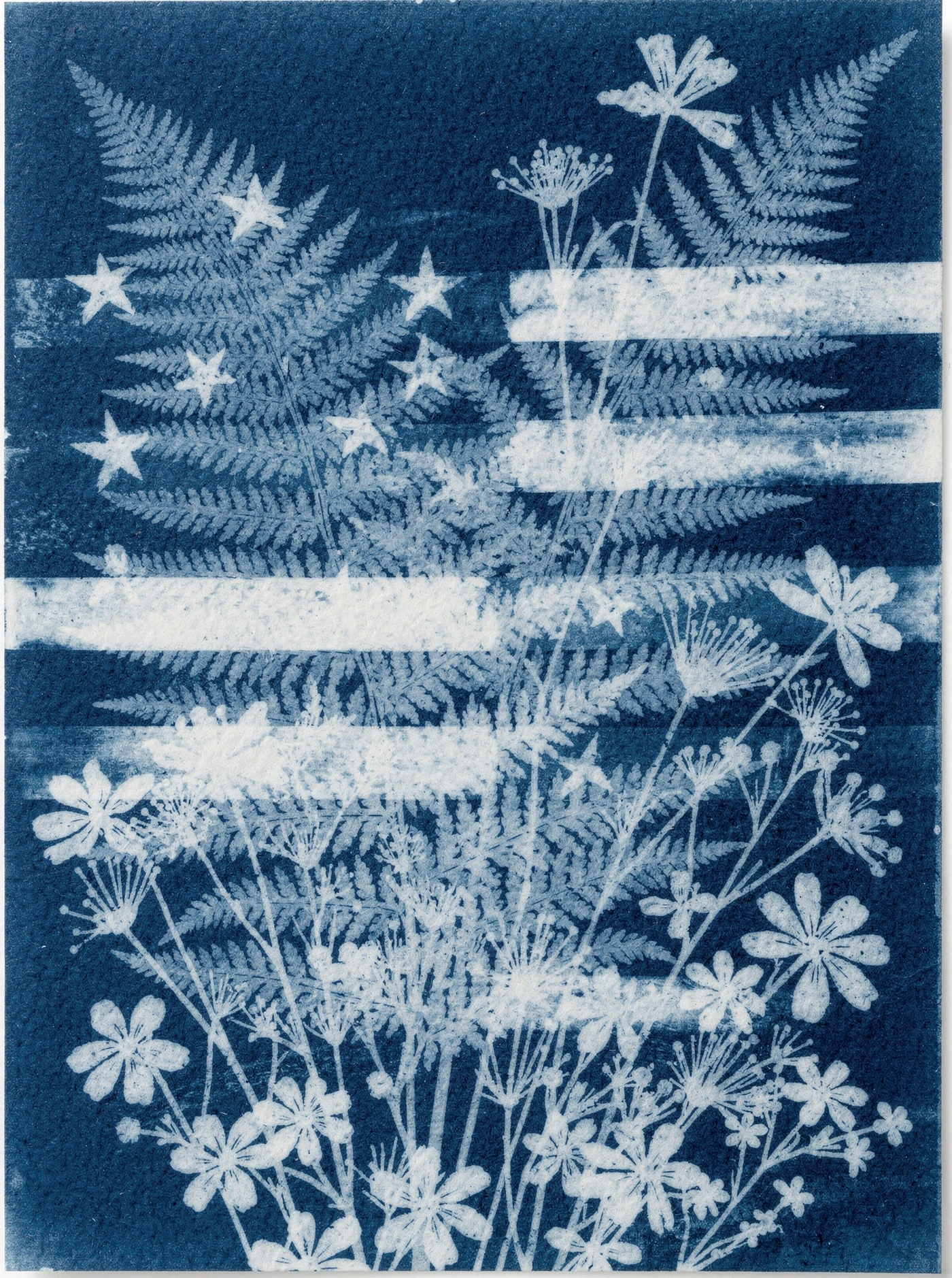 Thank You — Cyanotype 51 military invitation template