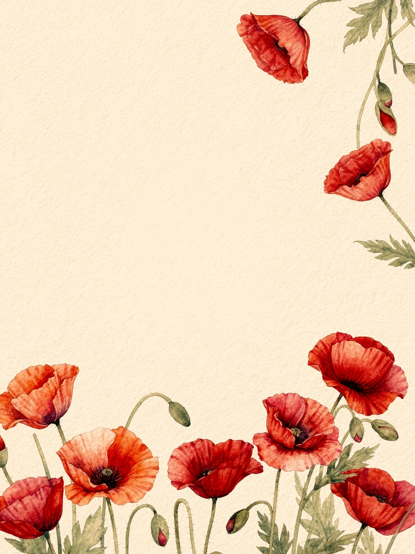 Valentine's Day — Wild Poppies valentines invitation template