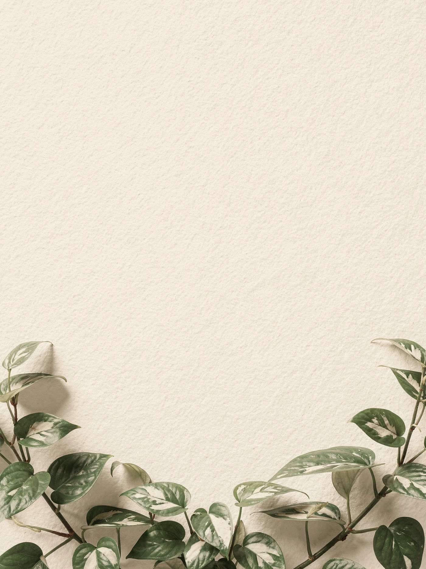 Housewarming — a free neutral housewarming invitation template on InviteDrop