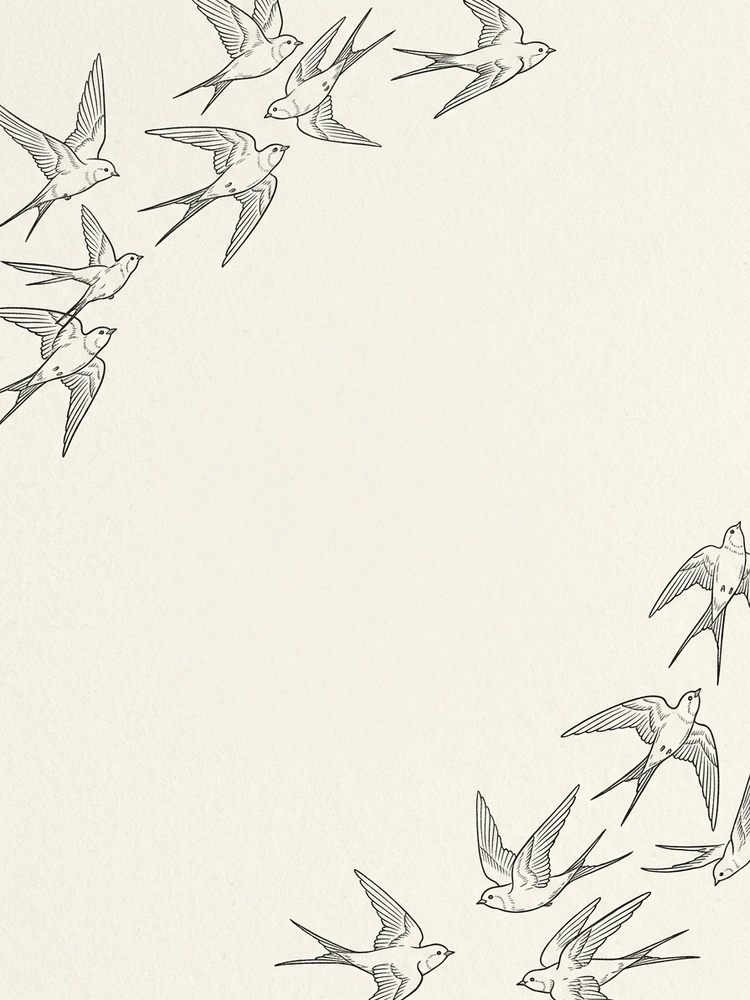 Swallows — a free neutral wedding invitation template on InviteDrop