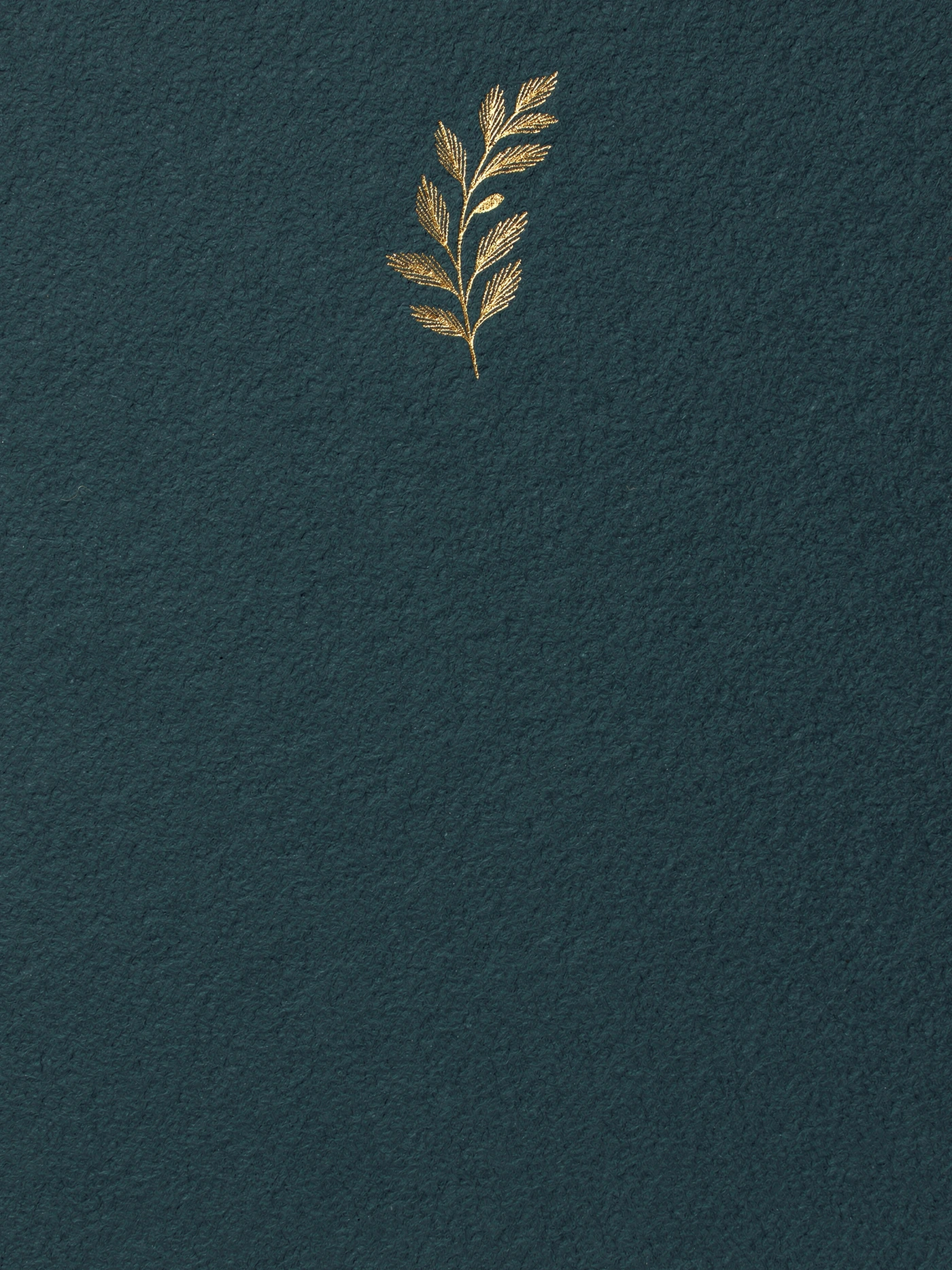 Teal Minimal — a free minimalist birthday invitation template on InviteDrop