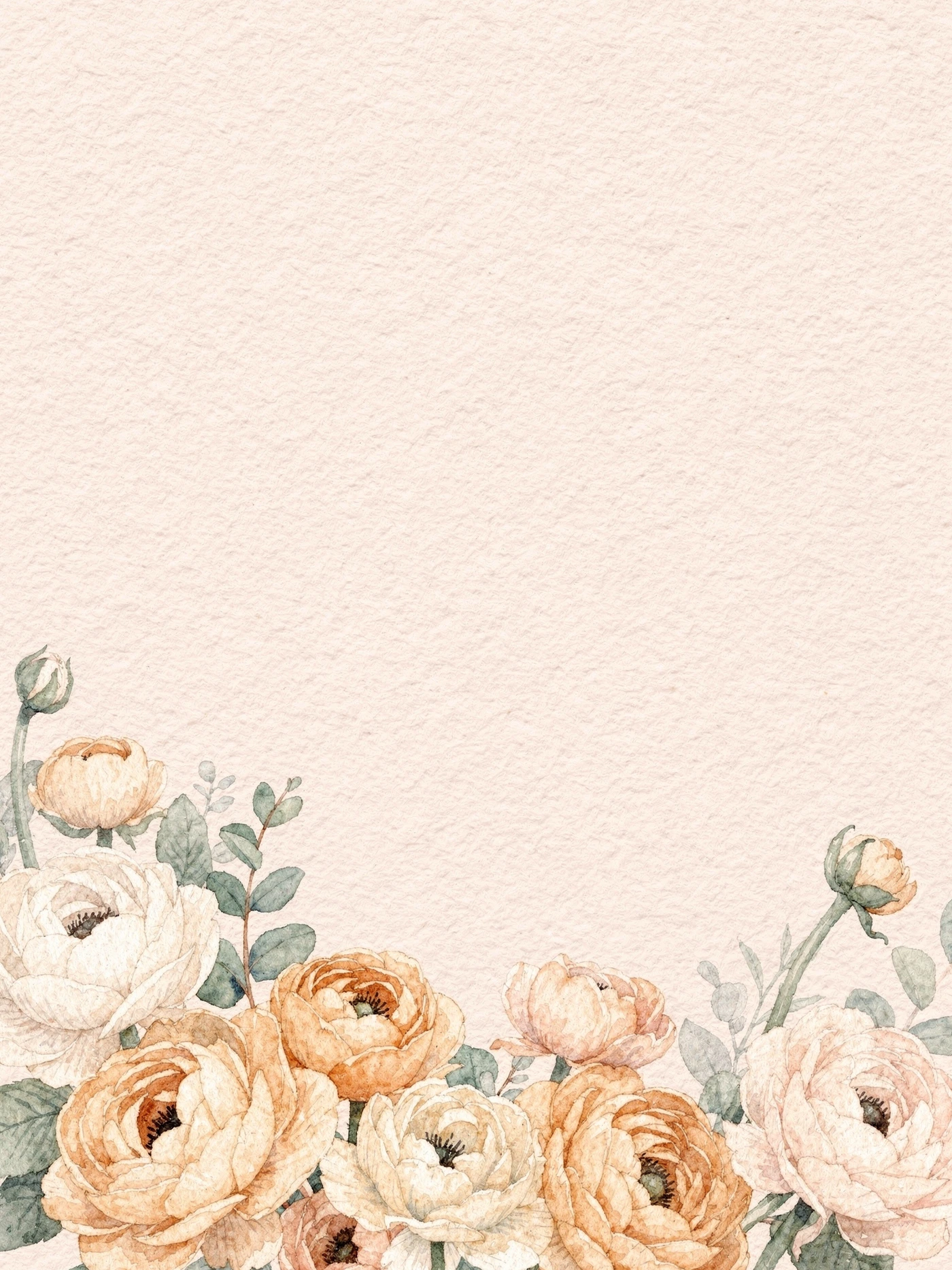 Blush Ranunculus — a free watercolor birthday invitation template on InviteDrop